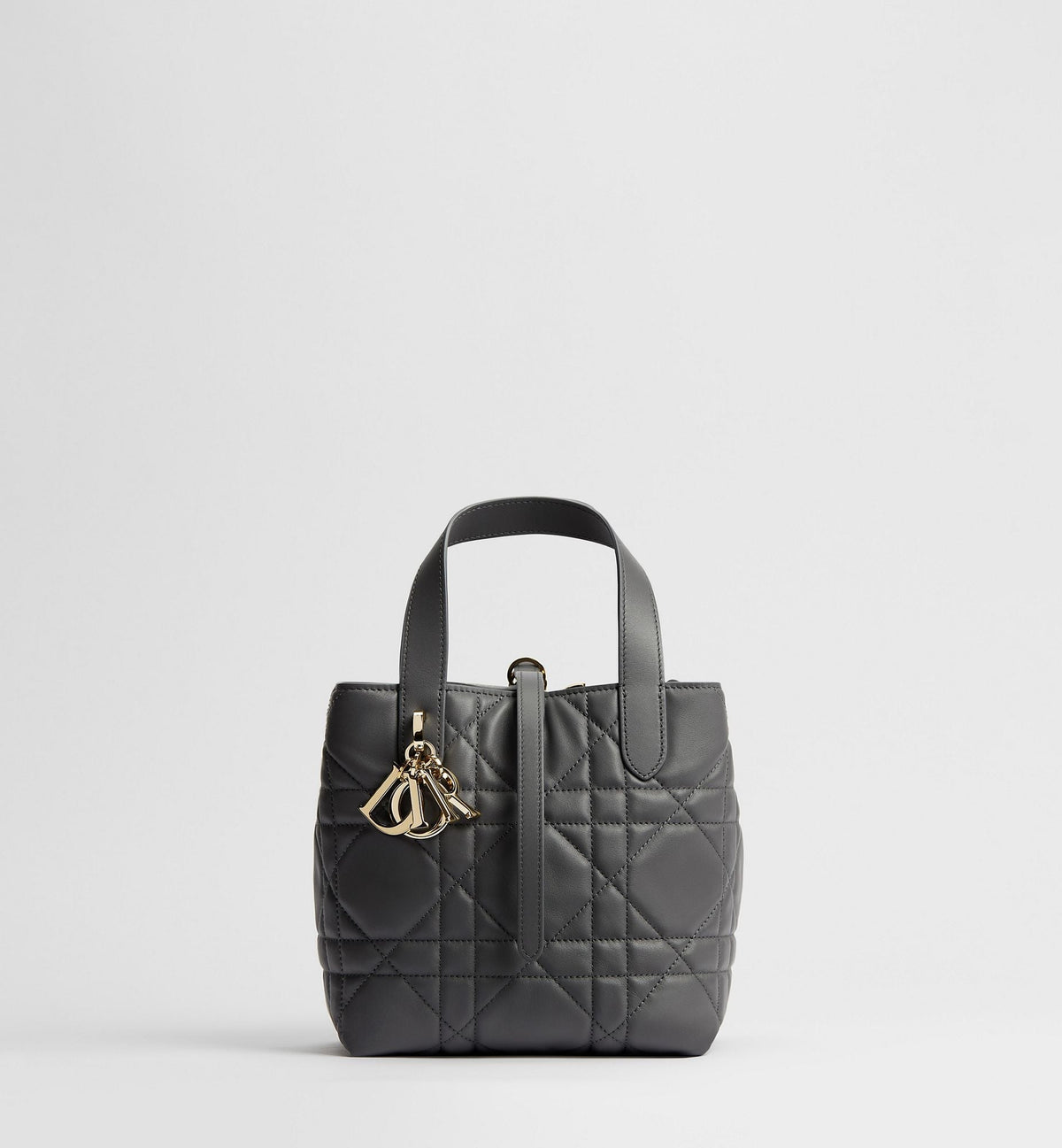Women's Small Toujours Vertical Tote Bag