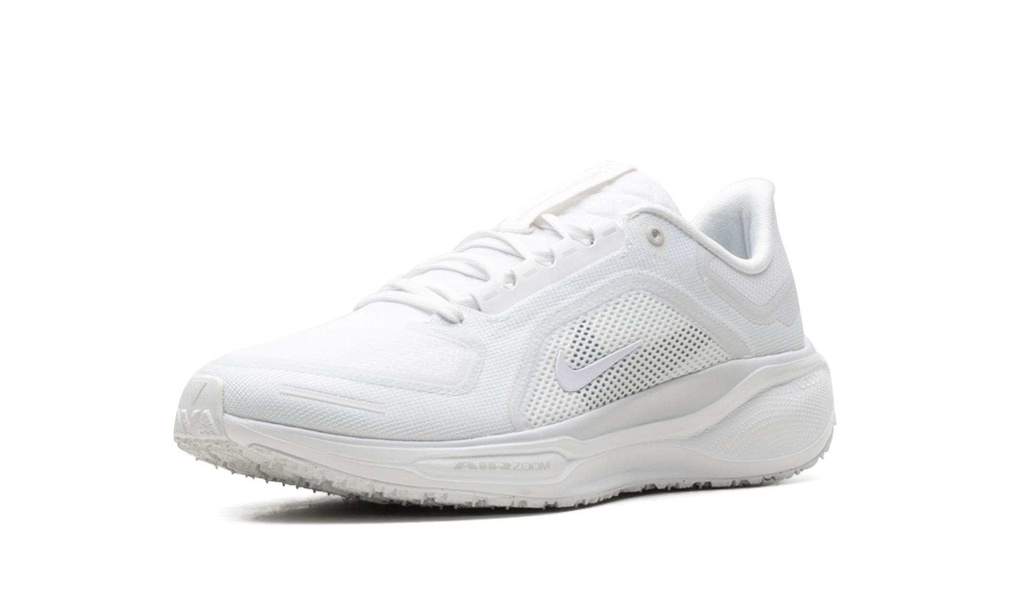 Air Zoom Pegasus 41 "Gore-tex"