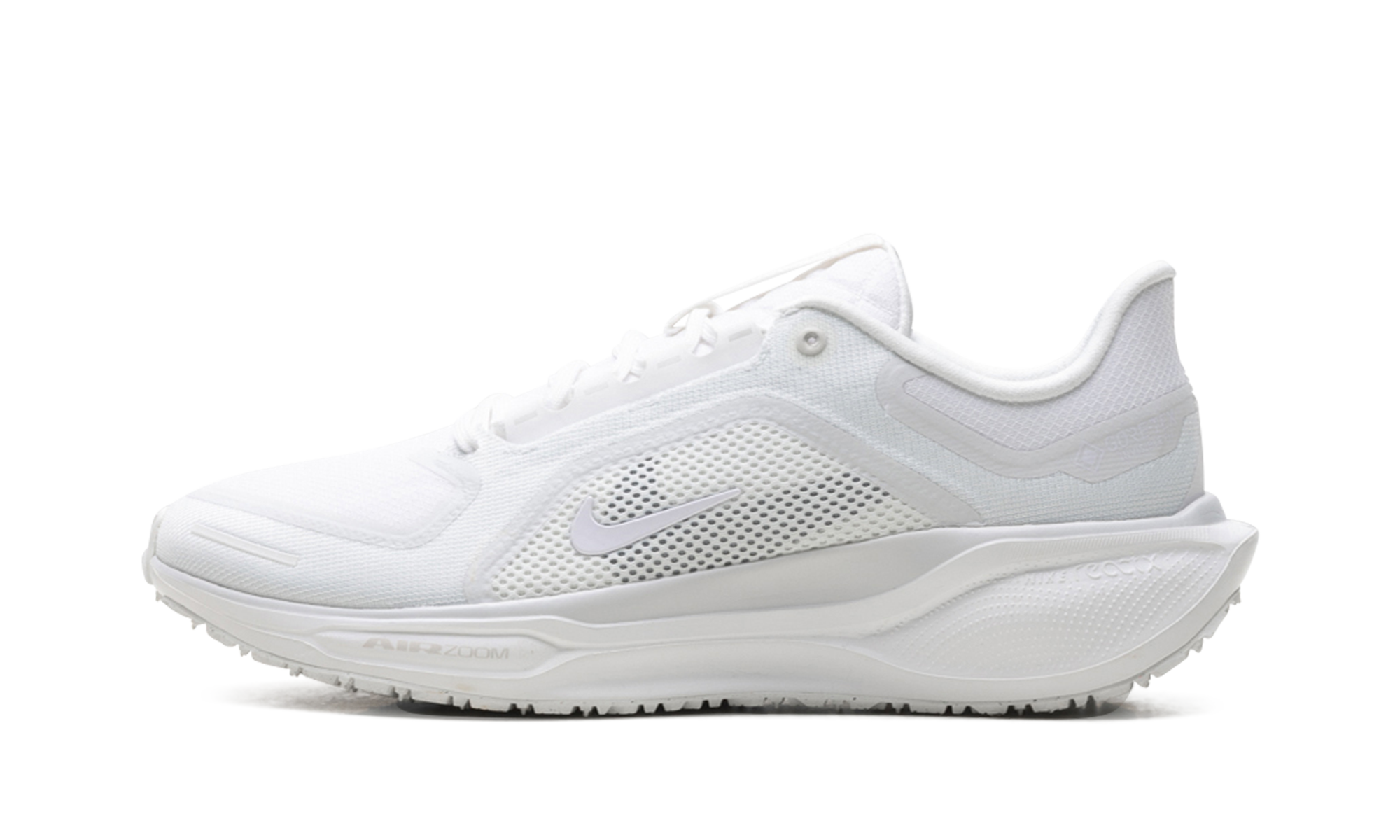 Air Zoom Pegasus 41 "Gore-tex"