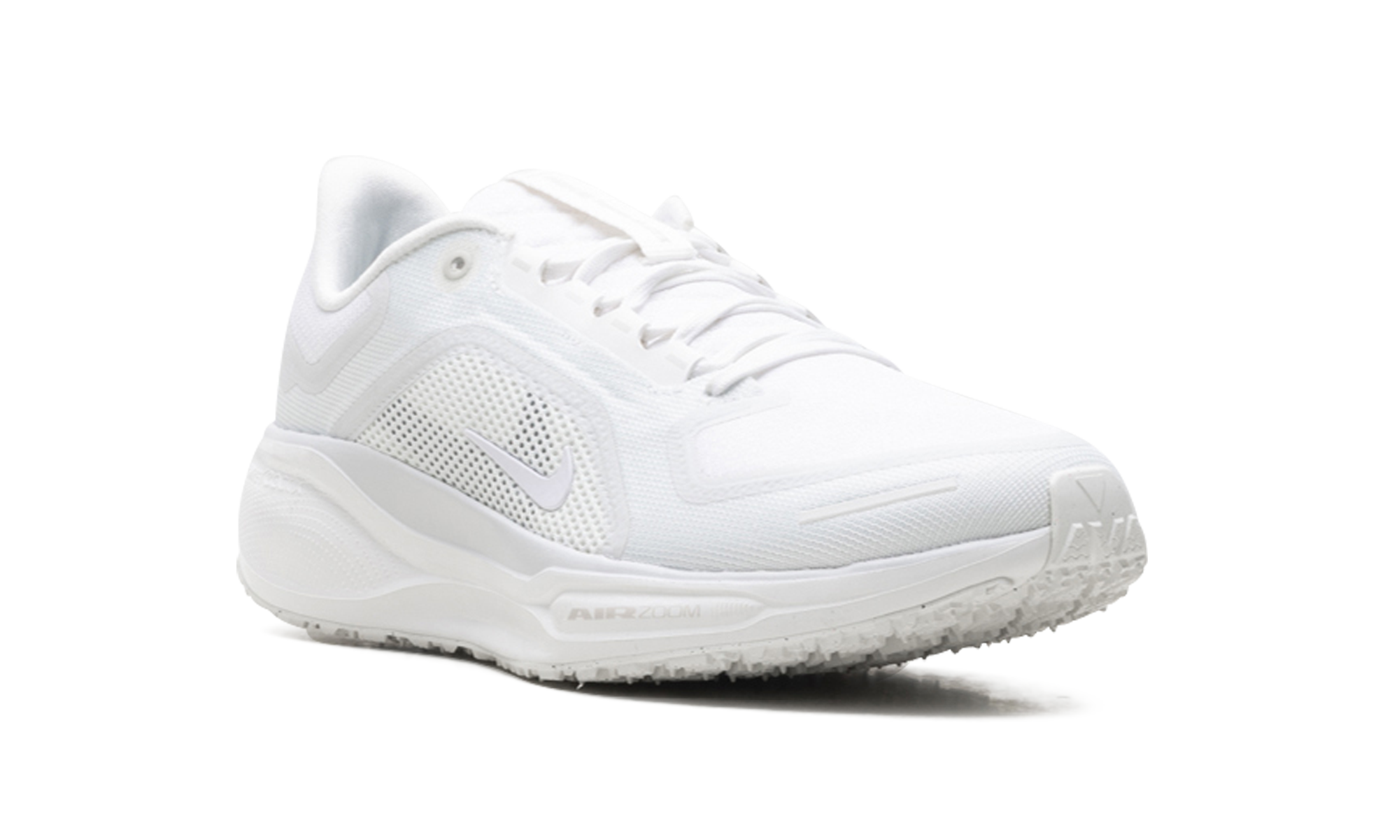 Air Zoom Pegasus 41 "Gore-tex"