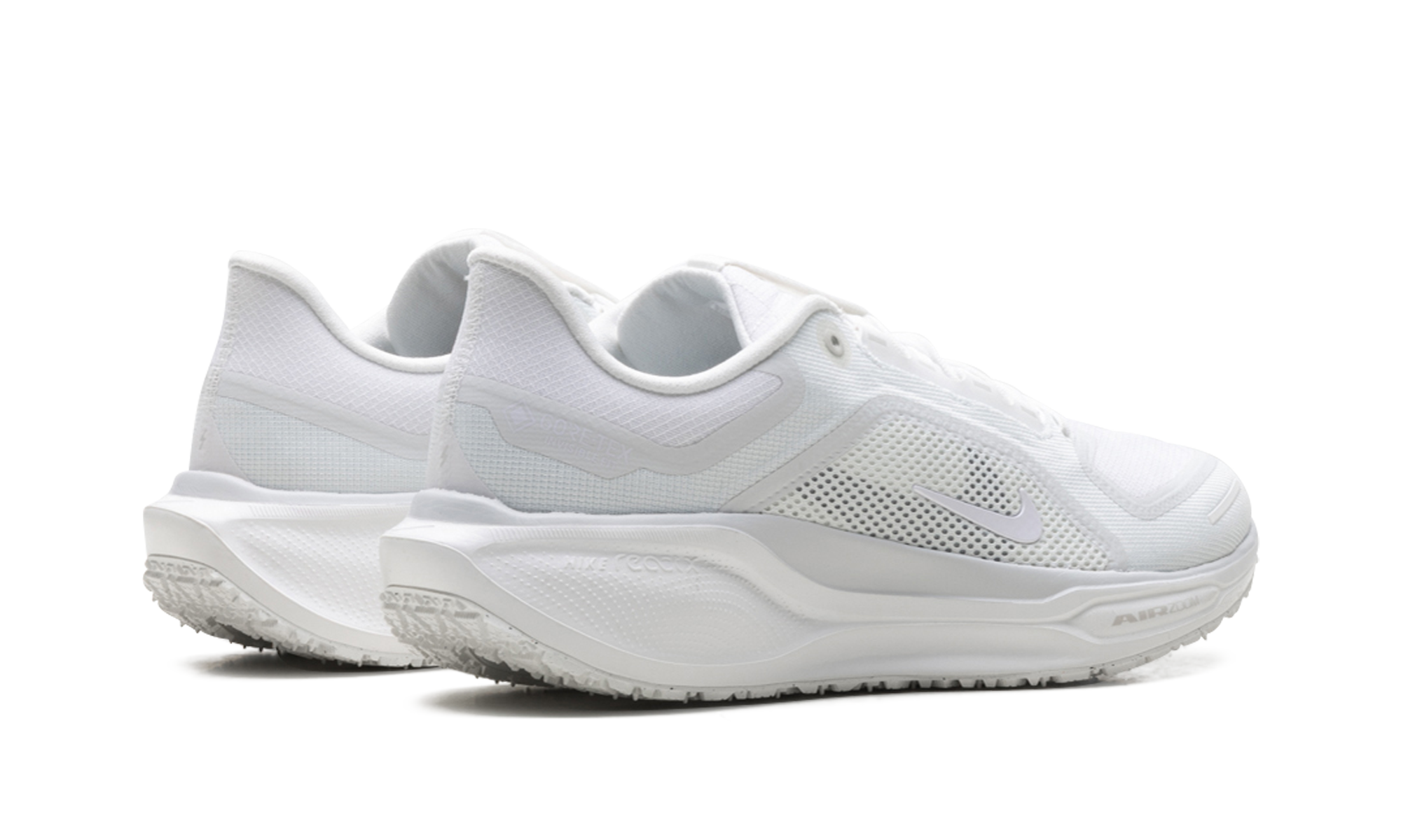 Air Zoom Pegasus 41 "Gore-tex"