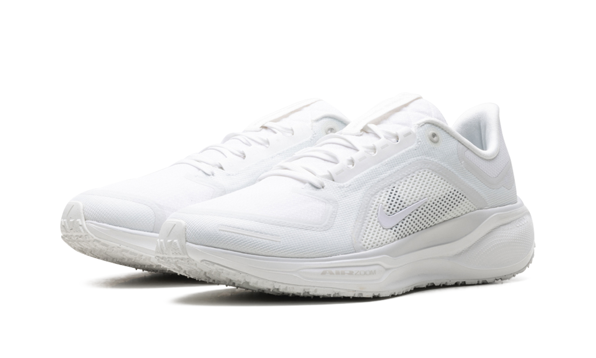 Air Zoom Pegasus 41 "Gore-tex"