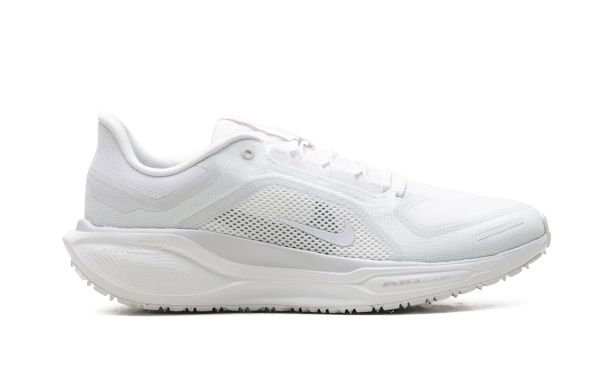Air Zoom Pegasus 41 "Gore-tex"
