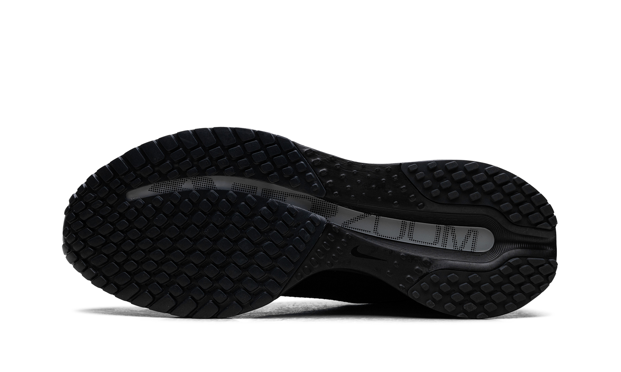 Air Zoom Pegasus Premium SP "Black Metallic Silver"