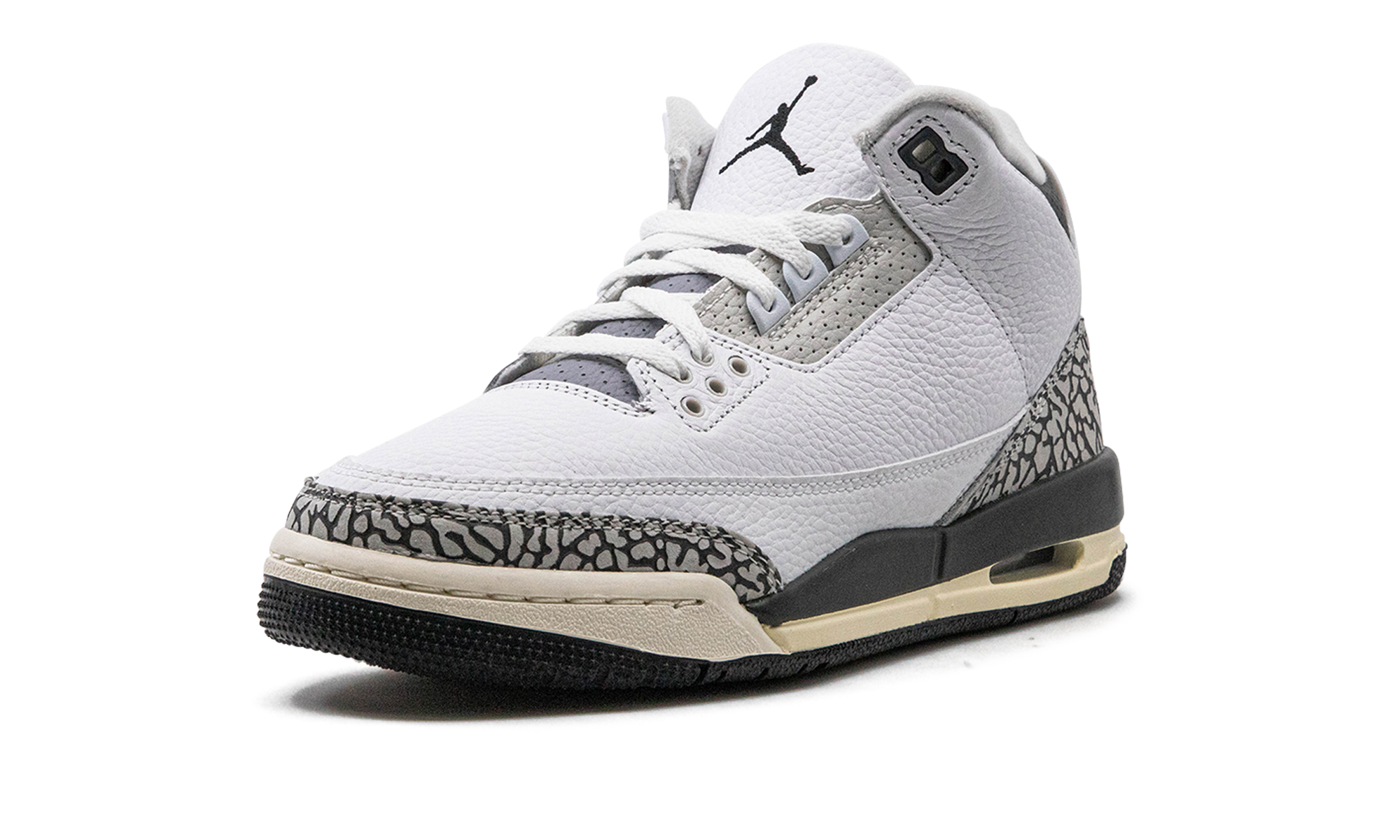 AJ 3 GS "Hide N Sneak"