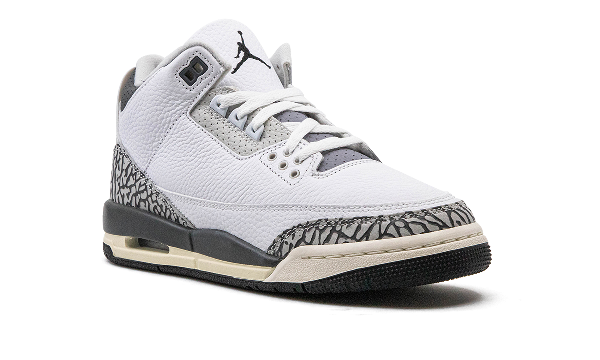 AJ 3 GS "Hide N Sneak"