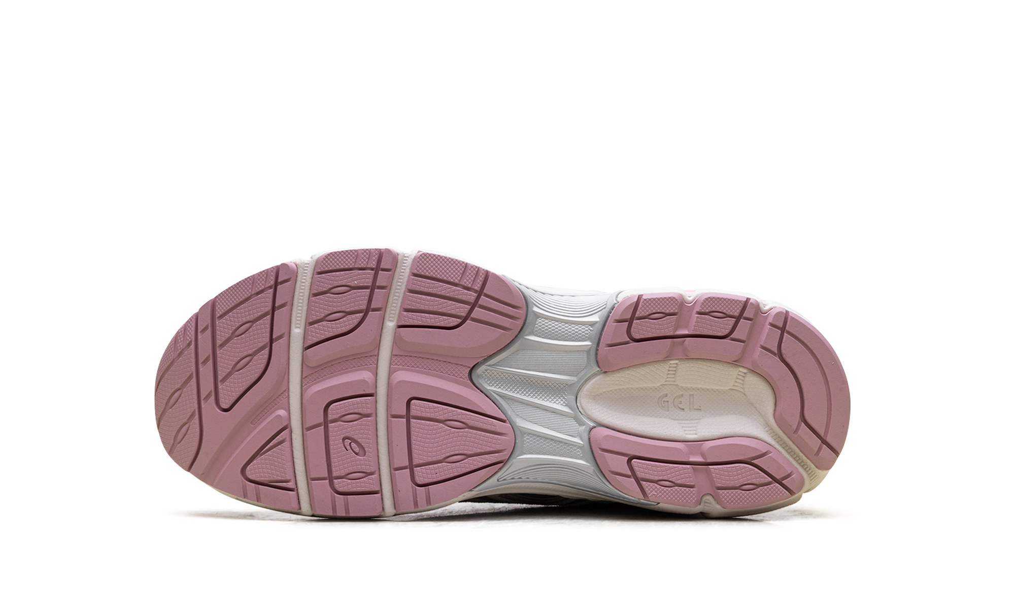 Gel-Nyc GS "Glacier Grey Coneflower"