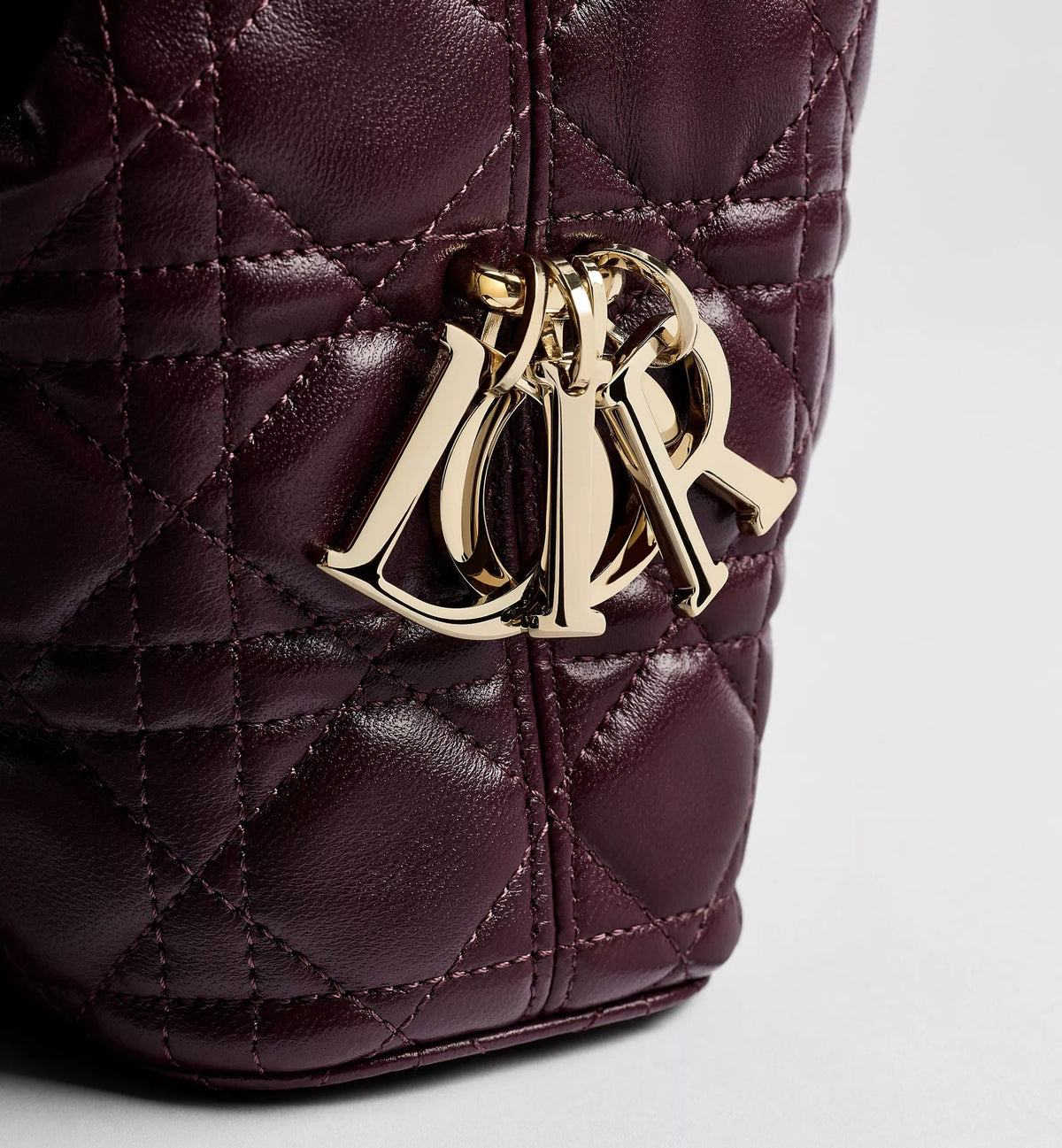 Women's Small Toujours Hobo Bag