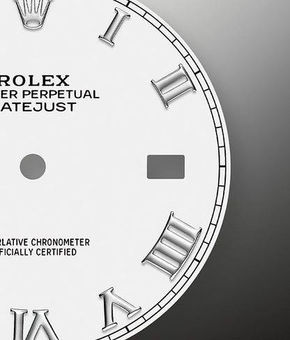 Datejust 41 Oystersteel and white gold Ref# 126334-0024