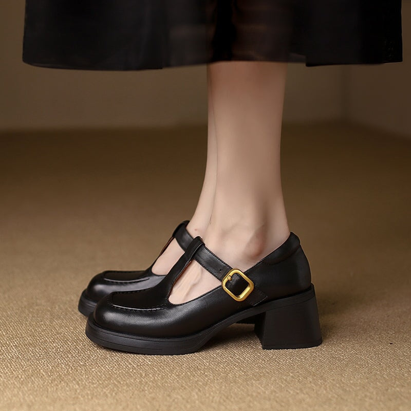 Round Toe T Strap Mary Jane Shoes 60mm Block Heel in Black/Brown