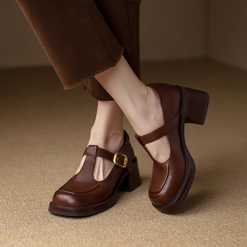 Round Toe T Strap Mary Jane Shoes 60mm Block Heel in Black/Brown