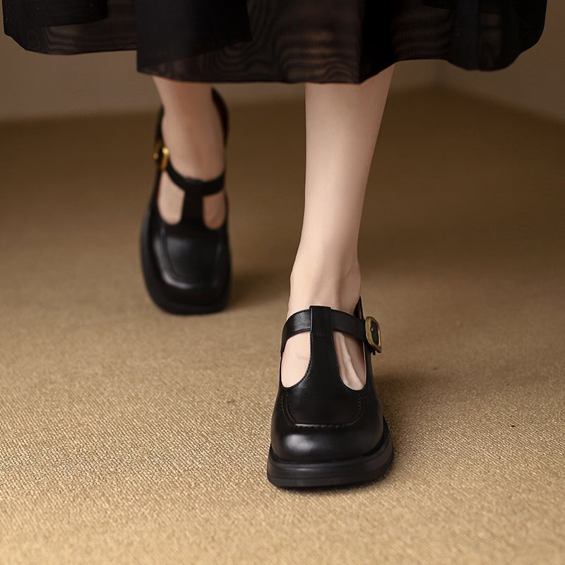 Round Toe T Strap Mary Jane Shoes 60mm Block Heel in Black/Brown