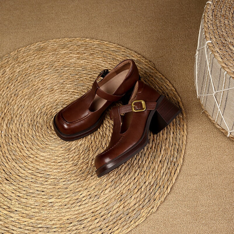 Round Toe T Strap Mary Jane Shoes 60mm Block Heel in Black/Brown