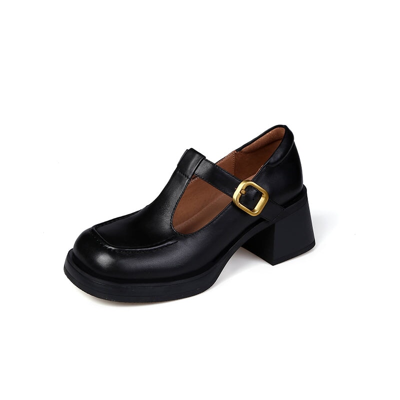 Round Toe T Strap Mary Jane Shoes 60mm Block Heel in Black/Brown