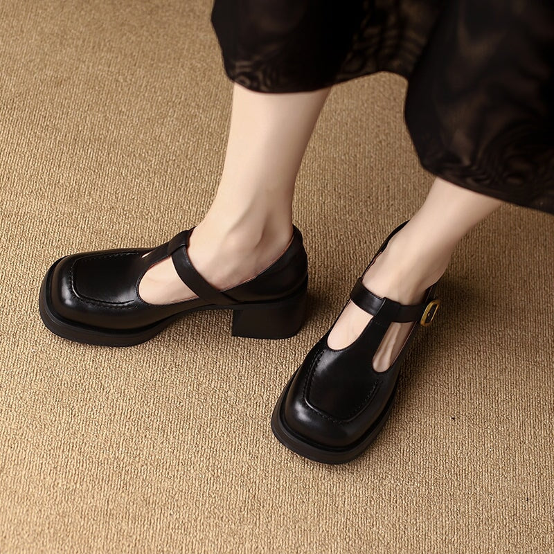 Round Toe T Strap Mary Jane Shoes 60mm Block Heel in Black/Brown