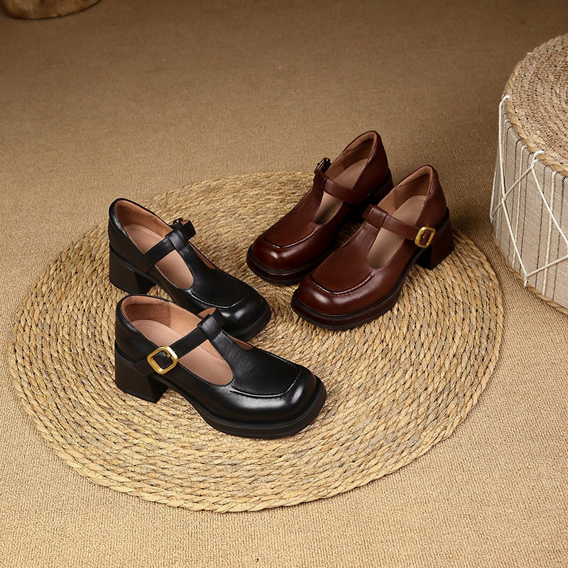 Round Toe T Strap Mary Jane Shoes 60mm Block Heel in Black/Brown