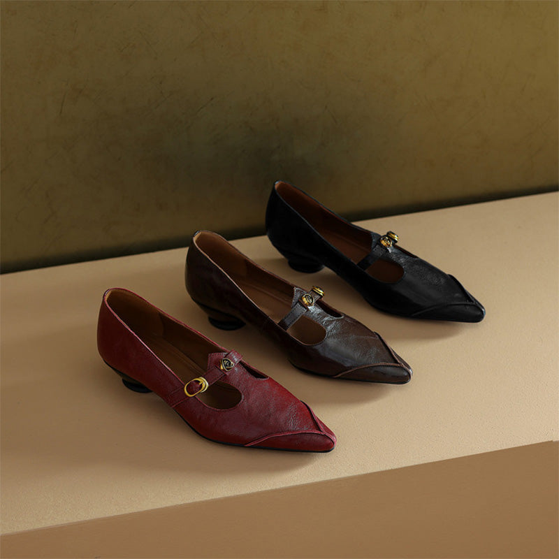 Vintage Leather T-Strap Pointed Toe Mary Jane Shoes in Black/Brown/Angola Red