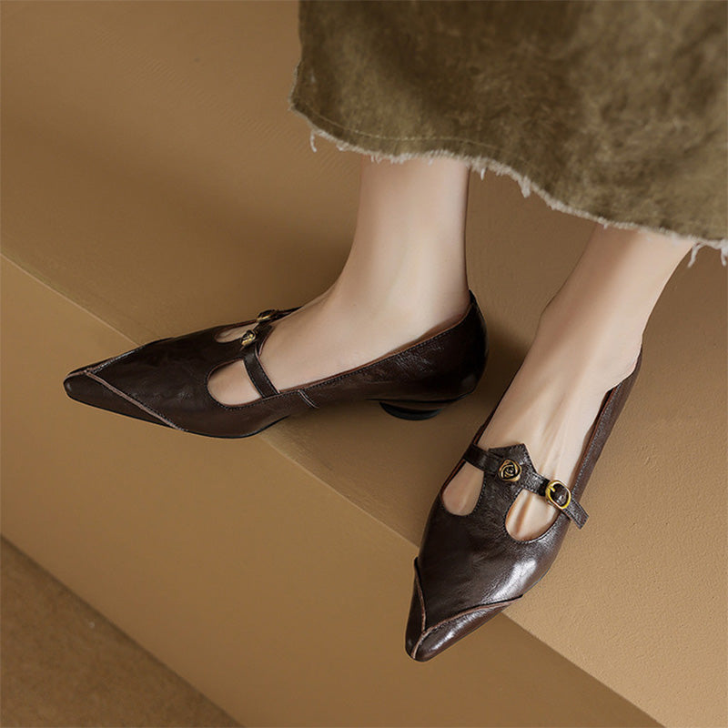 Vintage Leather T-Strap Pointed Toe Mary Jane Shoes in Black/Brown/Angola Red