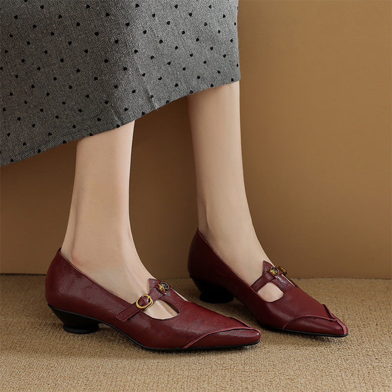 Vintage Leather T-Strap Pointed Toe Mary Jane Shoes in Black/Brown/Angola Red