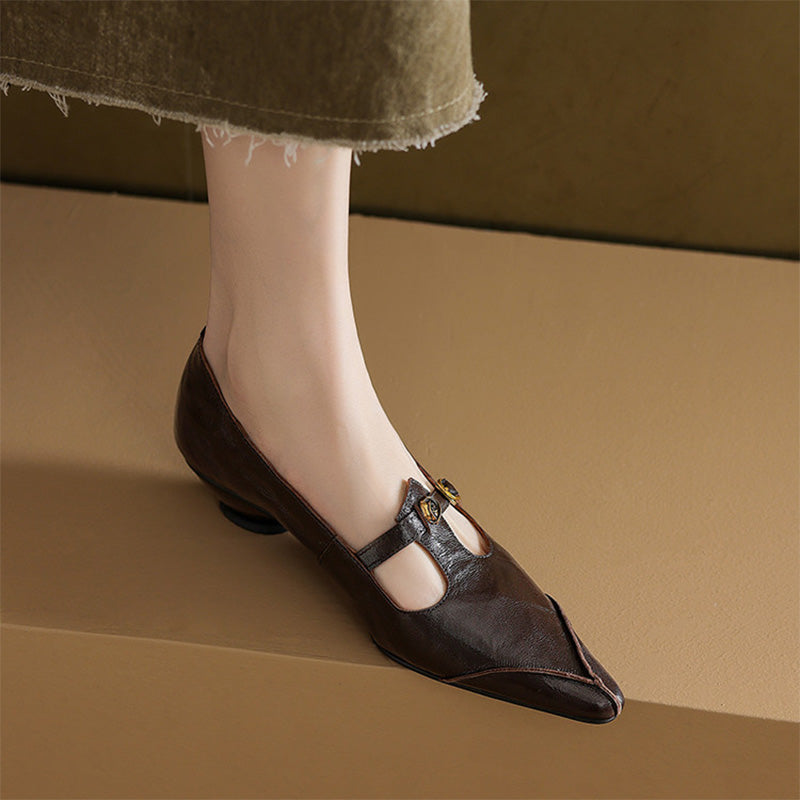 Vintage Leather T-Strap Pointed Toe Mary Jane Shoes in Black/Brown/Angola Red